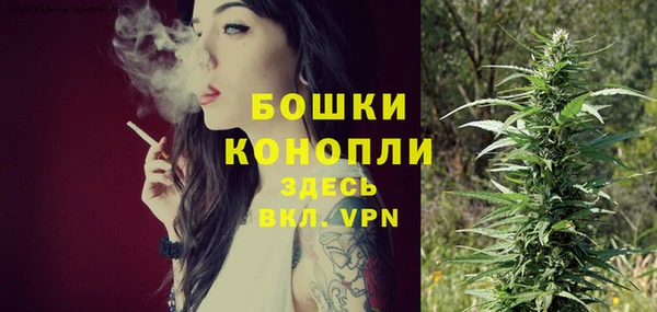 крисы Верея