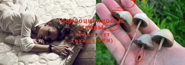крисы Верея
