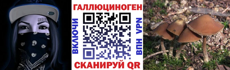 Псилоцибиновые грибы прущие грибы  Волгореченск 